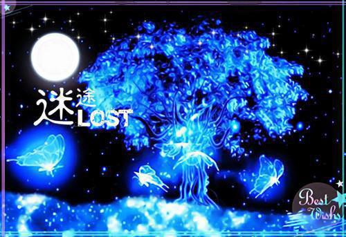 (爆火全本)旧爱再无归期：结局+番外+完结全文（白薇陆行舟安心）在线完结版小说阅读_旧爱再无归期：结局+番外+完结全本列表免费（白薇陆行舟安心）