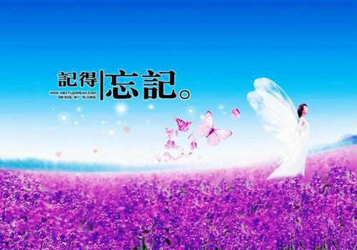 为进豪门，弟弟下药毒死了富婆的老公免费无弹窗 赵宇彭元汪清妍小说阅读