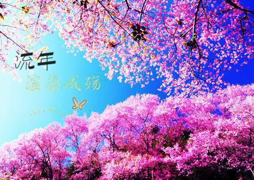 靠给女神花钱，我成了世界首富最新章节_靠给女神花钱，我成了世界首富全文免费阅读