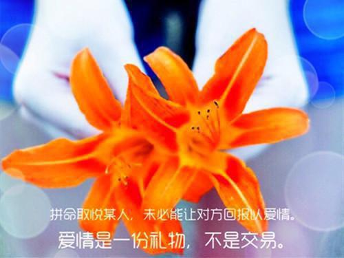爱情的感人小故事简短