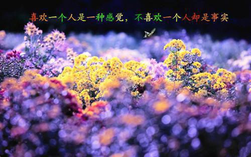 产品经理应聘英文简历表格
