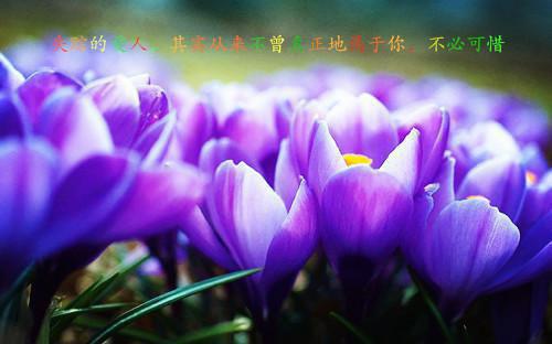 《满心眷恋无人语又名余生即便不是你:姜熙妍陆知年》:大结局+番外最新章节列表满心眷恋无人语又名余生即便不是你:姜熙妍陆知年:大结局+番外姜熙妍陆知年
