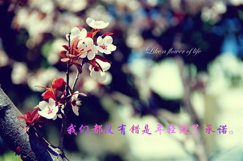 山间小白小说(荼蕴沐玄雪）小说全文免费阅读无弹窗大结局_（山间小白小说）荼蕴沐玄雪小说全文免费阅读最新章节列表（山间小白小说）