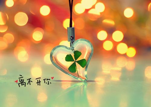 雨落难渡情深最新章节_雨落难渡情深全文免费阅读