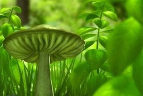 2分钟故事3个