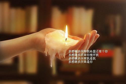 (番外)+(全文)《恰逢今朝春棠：结局+番外+后续》(温以桥傅南弦)最新章节免费在线阅读_《恰逢今朝春棠：结局+番外+后续》温以桥傅南弦全本小说阅读