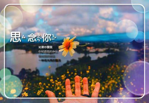 尹诺林南城最新章节_尹诺林南城全文免费阅读
