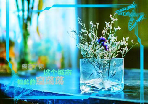 有关人生感悟文章：总是自以为是