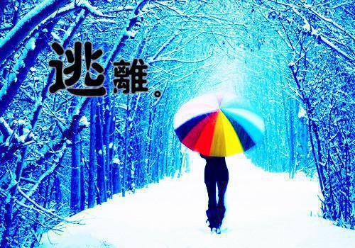 白知瑶的小说浮生千劫与君别楚晚舟白知瑶全文在线阅读