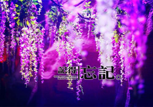 她闪婚了千亿首富全文免费阅读小说免费阅读