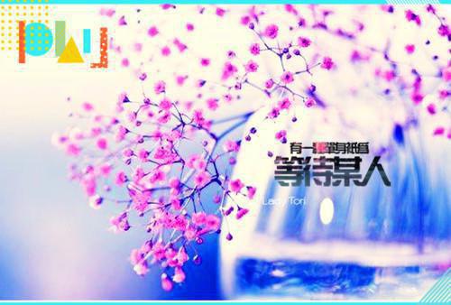 完结版云朝芙的小说云朝芙洛君行阅读