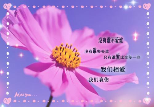 市场专员个人简历表格