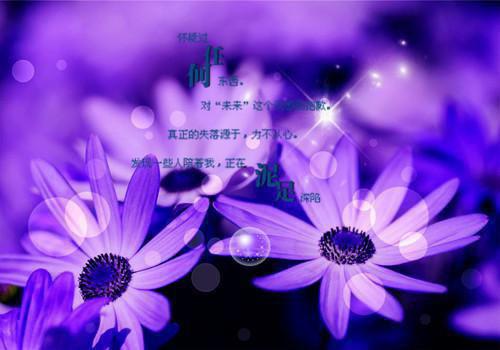 励志的破茧日志3篇