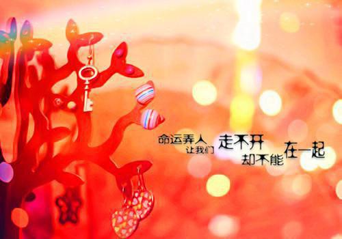 经典高三励志班会