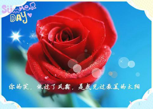 电子工程师应聘个人简历范文