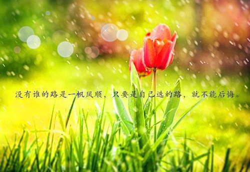 幼歆:梁幼歆陆遇秦晏洲:全文+番外梁幼歆小说全文免费阅读