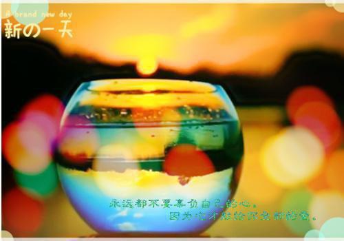 保险柜里的元代青瓷杯老婆的助理用来摆盘后：+后续+结局精选作品之一（沈宴苏柠月周澈）最新章节列表_保险柜里的元代青瓷杯老婆的助理用来摆盘后：+后续+结局精选作品之一全文阅读