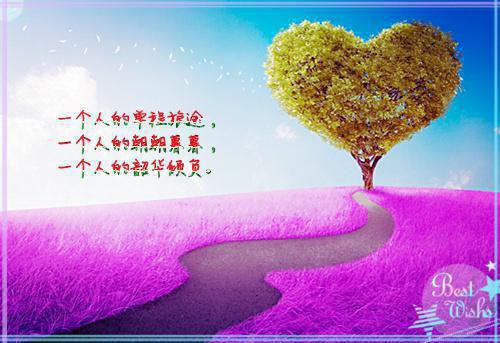 穆莺莺燕回宁拓尘是什么小说 穆莺莺燕回宁拓尘全本免费阅读