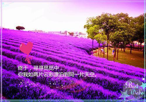 六零之首长老公在线跑路：结局+番外(梁景铮顾星晚)全文梁景铮顾星晚读无弹窗结局_ 梁景铮顾星晚读结局章节列表（六零之首长老公在线跑路：结局+番外）