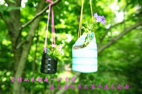 再试一次励志故事