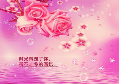 诱她情深小说完整章阅览抖音推文， 高禹川沈瑶初免费阅读全文