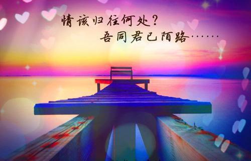 林惜封景琛最新章节_林惜封景琛全文免费阅读
