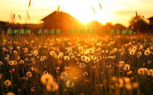 神级大状师陈洋顾阳正版陈洋顾阳小说_神级大状师陈洋顾阳正版免费阅读