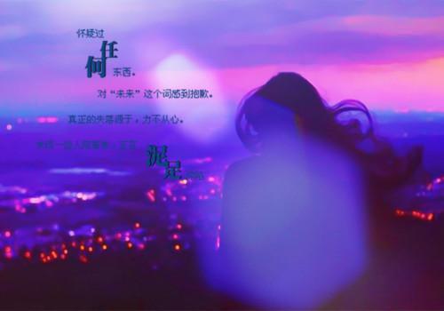 编写猫和小鸟的寓言故事