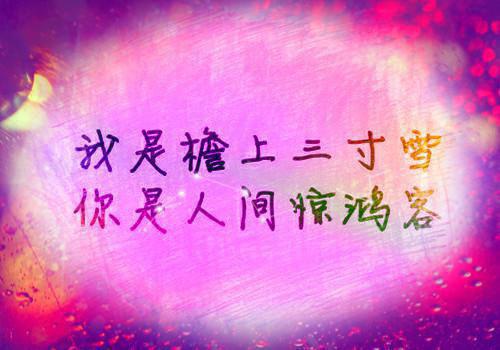 财务规划师简历表格