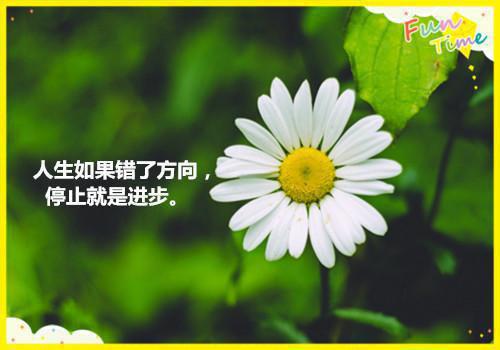 推荐给青年人的5部励志电影