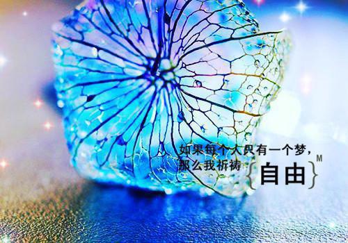 青尘吗喽小说全文免费阅读(傅绎楼莓)全文免费傅绎楼莓读无弹窗大结局_ 傅绎楼莓免费傅绎楼莓读最新章节列表（青尘吗喽小说）