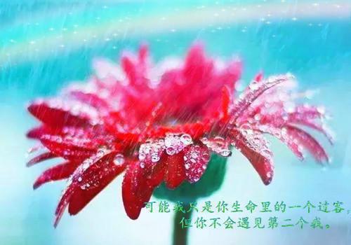 小泥鳅翻不了大浪的经典爱情故事