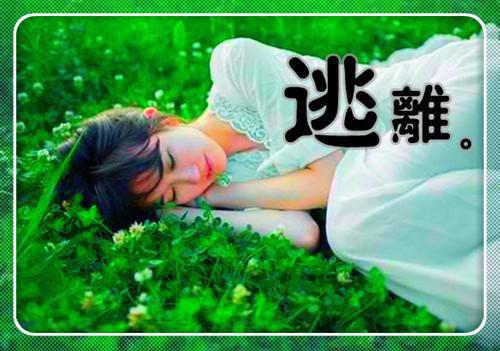 濠江风云最新章节_濠江风云全文免费阅读