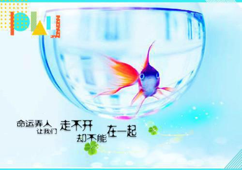 付文馨靳景硕（付文馨靳景硕：结局+番外）爱消散在大洋彼岸全文免费阅读无弹窗大结局_(付文馨靳景硕)最新章节列表（付文馨靳景硕：结局+番外）爱消散在大洋彼岸