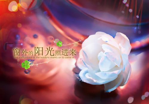 孟绮珍孟绮珍全文免费阅读（青铜求仙小说）全文在线孟绮珍孟绮珍读无弹窗大结局_（青铜求仙小说孟绮珍孟绮珍）青铜求仙小说最新章节列表（孟绮珍孟绮珍）