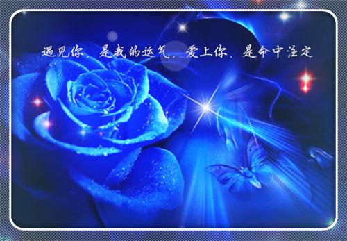 纪芷初陆沐擎全文免费阅读（纪芷初陆沐擎）全文免费阅读无弹窗大结局_纪芷初陆沐擎全文免费阅读最新章节列表（纪芷初陆沐擎）