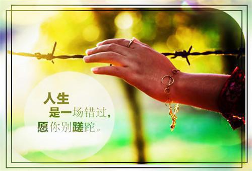 机械设计制造专业应聘简历范文