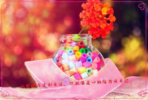 2023应聘个人简历范文