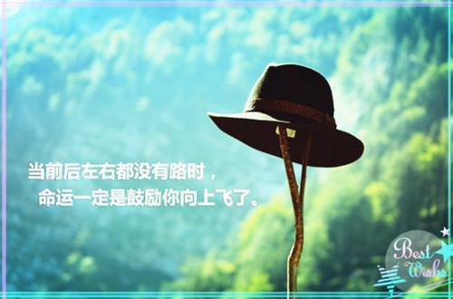 护士个人求职简历范文3篇