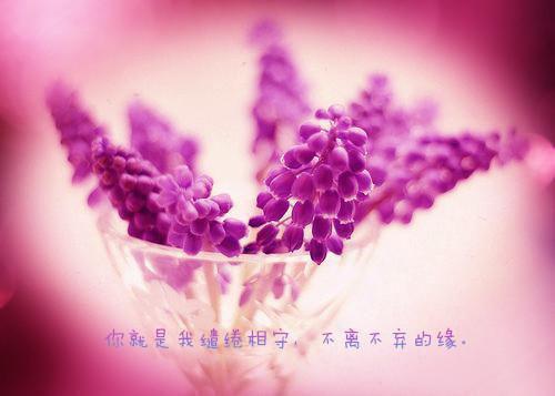万年神皇玩转都市凤兰,那也,印辉推荐完本_已完结万年神皇玩转都市(凤兰,那也,印辉)