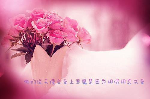 病美人和他的竹马保镖[穿书]盛嘉楠江驰全文在线盛嘉楠江驰读无弹窗大结局_（盛嘉楠江驰病美人和他的竹马保镖[穿书]小说）盛嘉楠江驰最新章节列表（盛嘉楠江驰）