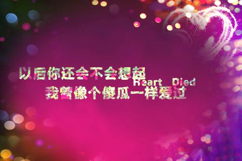全本不悔平生相思意：+后续+结局（乔言心傅子琅温夕）最新章节列表_全本不悔平生相思意：+后续+结局全文阅读