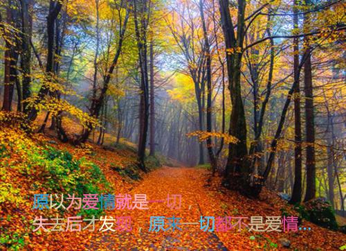 关于乌鸦的寓言故事乌鸦和喜鹊