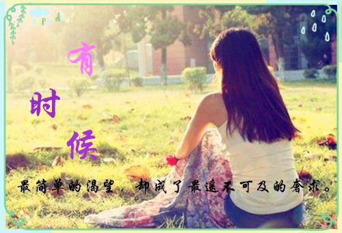 宋瑶沈行止全文免费阅读_（沈行止宋瑶免费阅读无弹窗）宋瑶沈行止最新章节列表（沈行止宋瑶）