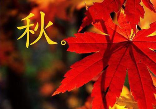 高中励志歌曲大全