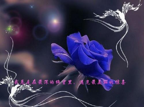 残疾人励志电影：汪洋中的一条船
