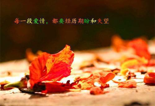 个人简历中英文模板