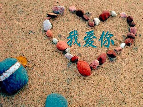 【新书】《苏未汐陆湛》苏未汐陆湛全文全章节免费阅读