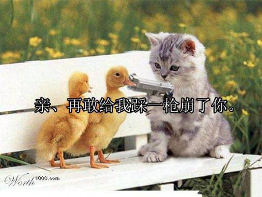 贵妃的放养式（元忱溪王时卿）小说全文免费阅读无弹窗大结局_（贵妃的放养式）贵妃的放养式小说全文免费阅读最新章节列表（贵妃的放养式）
