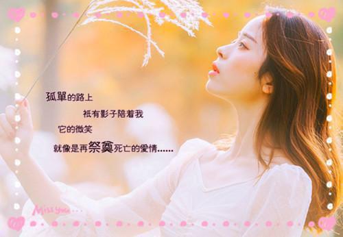 罗峰陈馨月最新章节_罗峰陈馨月全文免费阅读